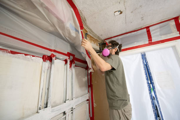 Best Crawl Space Mold Remediation  in Park Ridge, NJ