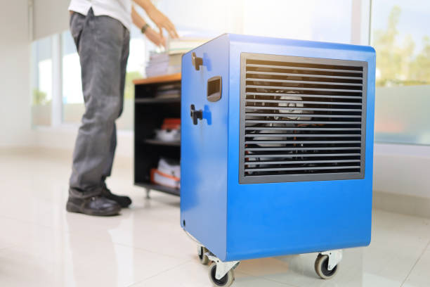 Best Biohazard Mold Removal  in Park Ridge, NJ